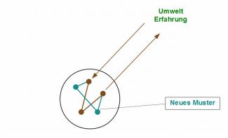 Die Entwicklung neuer Strukturen und Muster