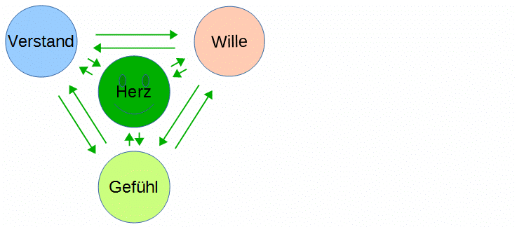 Das Geistige Gemüt mit dem Herzen im Zentrum