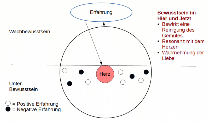 Das Hier und Jetzt Bewusstsein