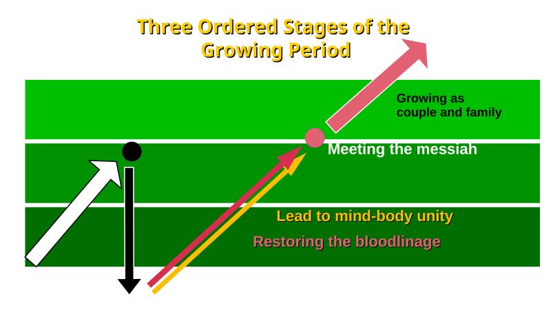 Three Stages of Growth
