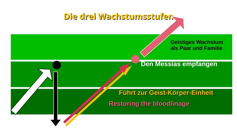 Drei Wachstumsstufen